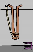 342x542