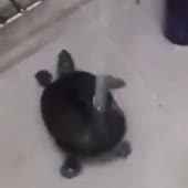 360x360