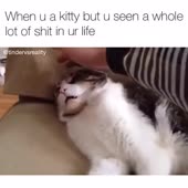 360x360
