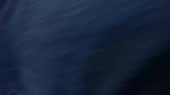1000x563