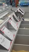 360x640