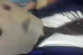 540x360