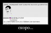 658x431