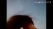 640x360
