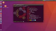 1366x768