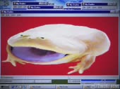 960x720