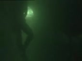 320x240