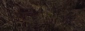 640x240