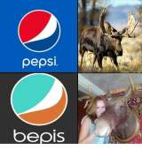 500x530