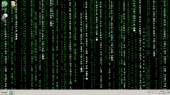 1366x768