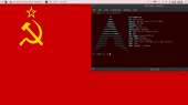 1366x768
