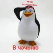 720x720