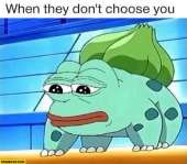 543x479