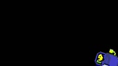 640x360