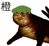 607x572