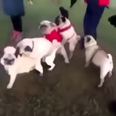 360x360