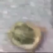 360x360