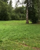 288x360