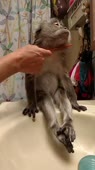 406x720