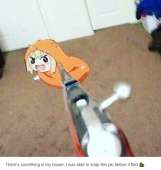 539x568