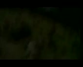 450x360