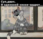 523x480