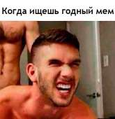 463x476