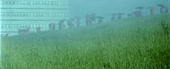640x262