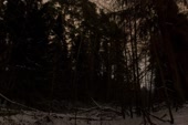 900x600