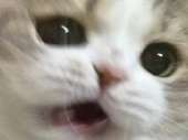 398x298