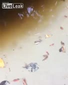 320x400