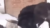 440x246