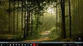1366x768
