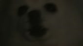 480x270