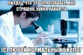 702x468