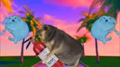 640x360