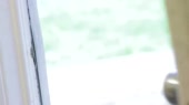 1280x720