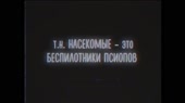 1280x720