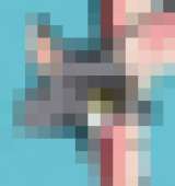 237x251