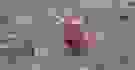 135x70