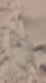 202x360