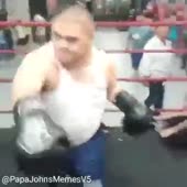 360x360
