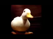 640x480