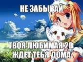 600x450