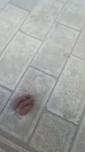202x360