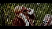 500x282
