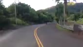 400x226