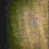500x500