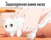 960x762
