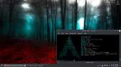 1366x768